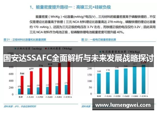 国安达SSAFC全面解析与未来发展战略探讨