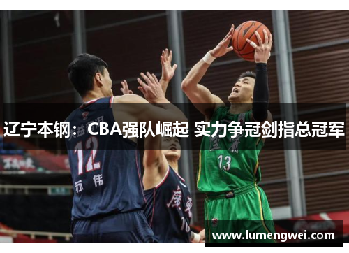 辽宁本钢：CBA强队崛起 实力争冠剑指总冠军