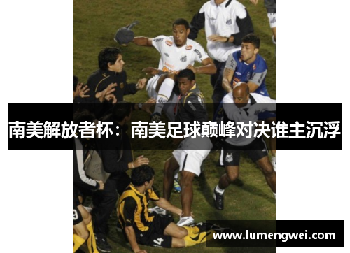 南美解放者杯：南美足球巅峰对决谁主沉浮