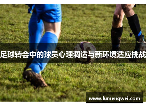 足球转会中的球员心理调适与新环境适应挑战
